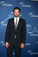 LOS ANGELES  OCT 30  Austin Nichols at the Oceanas Partners Awards Gala 2013 at Beverly Wilshire Hotel on October 30 2013 in Beverly Hills CA photo