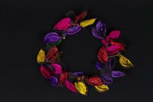 Multi-colored dry petals on a black background. photo