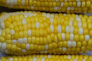 Yellow cooked corn close-up. photo