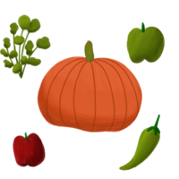 pumpkin, green pepper, and other vegetables on a transparent background png