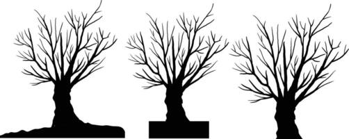 silhouette of dead tree vector illustration. silhouette of trees and branches without leaves. Bare Tree silhouette. Black Branch Tree vector. silhouette of a bare tree.