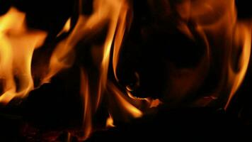 llamas, fuego en chimenea. video