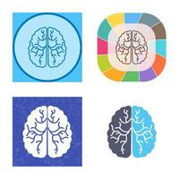 Brain Vector Icon