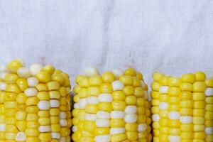 Piece of yellow cooked corn close-up on a gray background. photo