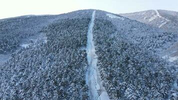 Snow winter forest road aerial drone photo