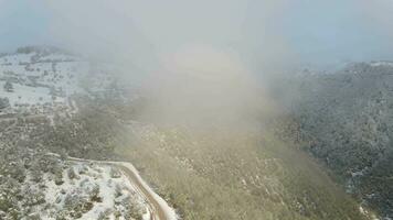 Winter foggy forest snow aerial view photo