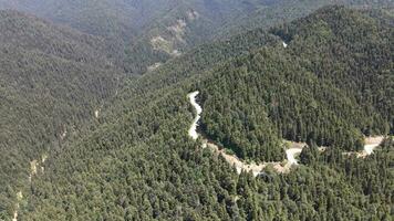 Drone footage of Zigzag Road between Forest photo