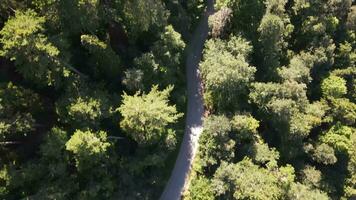 Aerial view driving car forest photo