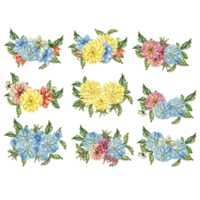 Watercolor dahlia flowers composition. png