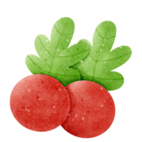 Watercolor cherry illustration isolate with background png