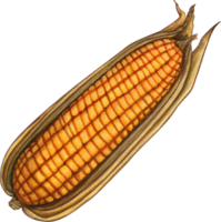 Watercolor hand drawn corn themed png