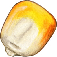 Watercolor hand drawn corn themed png