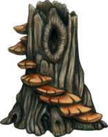 árbol tocón con seta escalera png