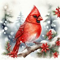 cardinal bird on winter background artwork for christmas or winter photo