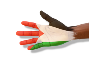 Opened palm painted in Palestinian flag colors. Hand in paint stretched and isolated on transparent background png