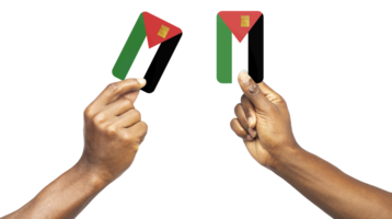 Preto mãos segurando atm cartões revestido dentro palestino bandeira cores isolado em transparente fundo. masculino mão segurando em branco papel cartão, cartão modelo png