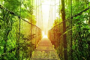 Arenal Hanging Bridges park of Costa Rica photo