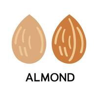 Icon of almonds. stylish contemporary flat linear vector The thin-line nature collection's almond icon on a white background is a vector image with adjustable contour and stroke.