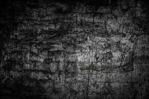 the texture of the old grunge cracked concrete photo