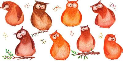 Collection of 20 elements. Owls on tree branches. All elements are painted with watercolors vector