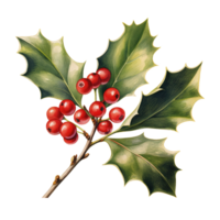 Holly Berries For Christmas Event. Watercolor Style. AI Generated png