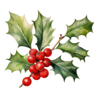 Holly Berries For Christmas Event. Watercolor Style. AI Generated png