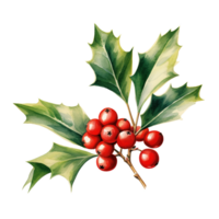 Holly Berries For Christmas Event. Watercolor Style. AI Generated png