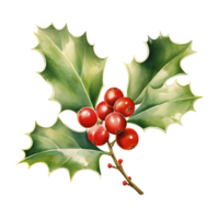 Holly Berries For Christmas Event. Watercolor Style. AI Generated png