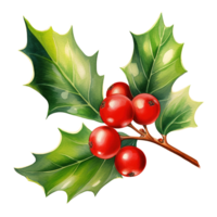 Holly Berries For Christmas Event. Watercolor Style. AI Generated png