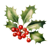 Holly Berries For Christmas Event. Watercolor Style. AI Generated png