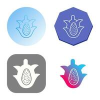 Dragon Fruit Vector Icon