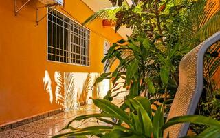 Playa del Carmen Quintana Roo Mexico 2023 Royal silver chairs in tropical exotic garden in Mexico. photo