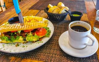 Baguette sandwich toast bread with chicken tomato salad potatoes fries. photo