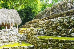 Coba Maya Ruins ancient buildings pyramids in tropical jungle Mexico. photo