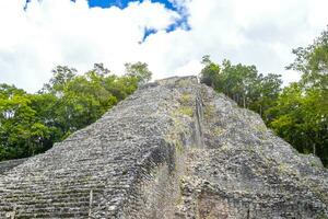 Coba Maya Ruins Nohoch Mul pyramid in tropical jungle Mexico. photo