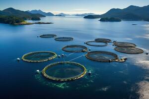 Fishing nets on the fjord in Norway. View from above, Salmon fish farm in ocean water near coast of Streymay Island, AI Generated photo