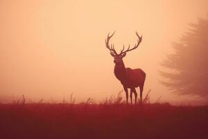 rojo ciervo ciervo en el Mañana neblina. filtrado imagen procesada Clásico efecto, rojo ciervo ciervo silueta en el neblina, ai generado foto