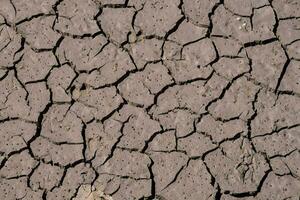 a close up of a cracked dry ground photo