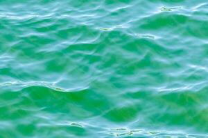 the water is green and has ripples photo