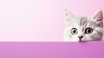 Funny minimalist background with a cat peeking out. AI generated photo