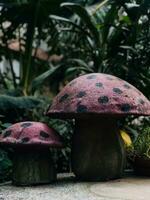 two mushrooms with black spots on them sit on a table photo