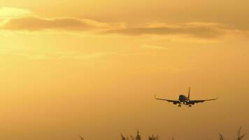 Jet Flugzeug Annäherung Landung. Flugzeug, schön Abend Himmel. Hintergrund von wolkig feurig Sonnenuntergang Himmel. video