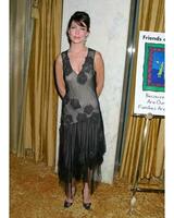 Lara Flynn Boyle Family Matters Benefit Friends of the Family Annual Gala IHO Cedric the Entertainer Regent Beverly Wilshire Hotel Los Angeles CA June 3 2005 photo