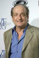 David Paymer Resurrecting The Champ Premiere Beverly Hills CA Aug 22 2007 2007 photo