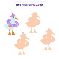 encontrar el Derecha sombra para dibujos animados Gaviota. vector