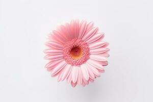 rosado gerbera flor aislado en blanco fondo.generativo ai. foto