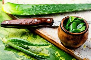 Fresh aloe vera leaves photo