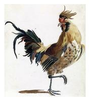 Rooster walking to the right version B, anonymous, 1688 - 1698 photo