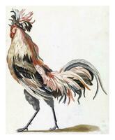 Rooster walking to the right version B, anonymous, 1688 - 1698 photo