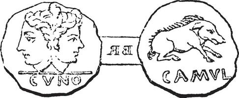 Coin struck under the son of Cunobelinus at Camulodunum Colchester, vintage engraving. vector